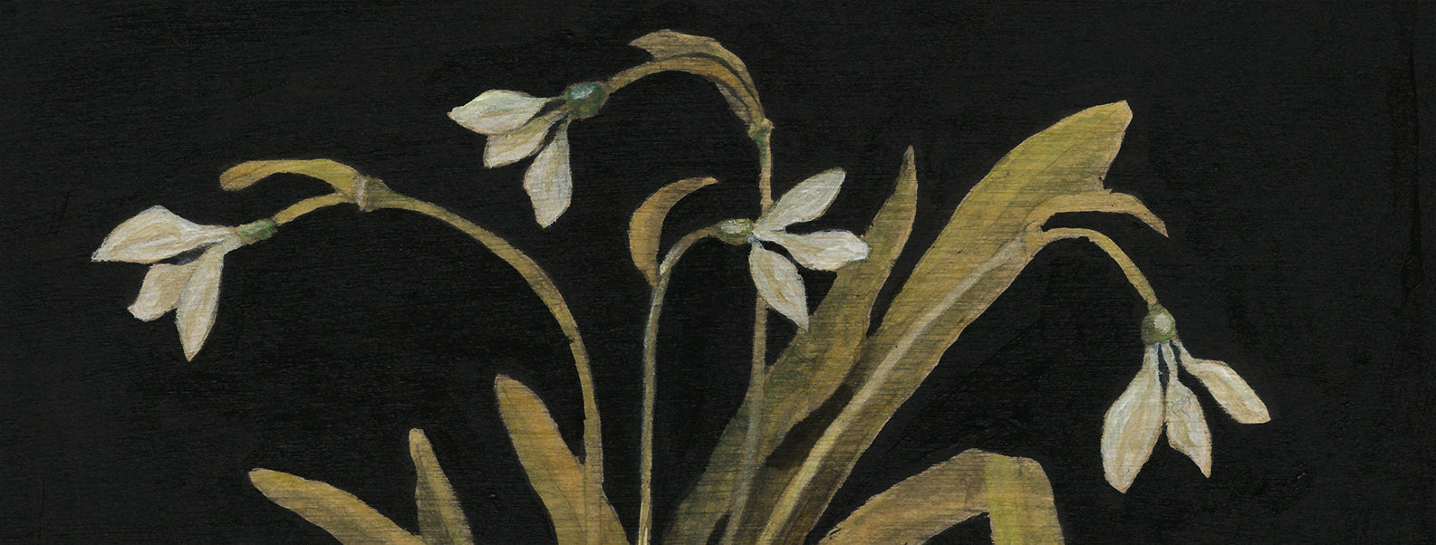 The Night Forest| DENISE ALLAN