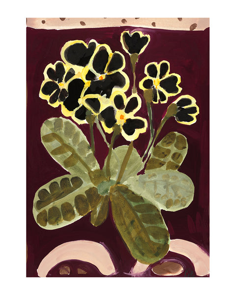 Gold Lace Primula (Large Limited Edition Print)