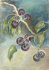 Buckthorn Berries (Original Painted Panel)
