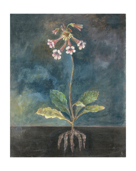 Chinese Foxglove (Original Painted Panel)