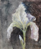 Iris Florentina (Original Painted Panel)