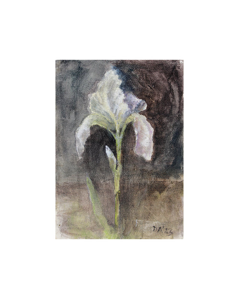 Iris Florentina (Original Painted Panel)