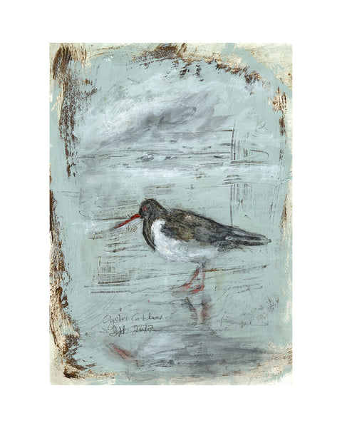 Oyster Catcher (Original Framed Painting)