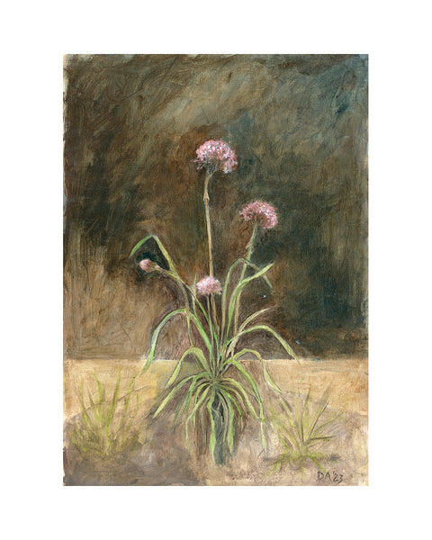 Sea Pinks (Limited Edition Print)