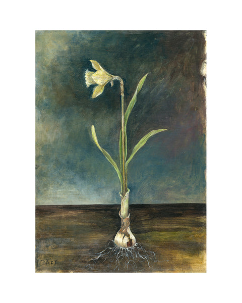 Wild Daffodil (Limited Edition Print)