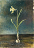 Wild Daffodil (Original Painted Panel)