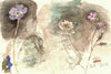 Wild Geranium, Clover & Cranesbill (Original Framed Painting)