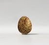 Tree Sparrow (Rust) - Museum Egg (with stand)