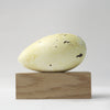 Great Auk No.42 - Museum Egg (with stand)