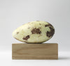 Great Auk No.5 - Museum Egg (with stand)