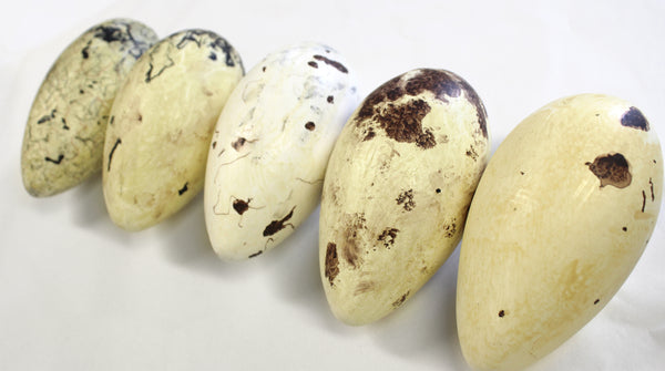 Great Auk No.38 - Museum Egg (with stand) – THE SHOP FLOOR