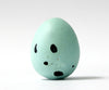 Song Thrush - Museum Egg (with stand)