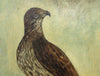 Original Painted Panel - The Common Buzzard