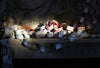 PAPER CHAIN GARLAND KIT: Plaster Bower