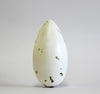 Great Auk (Black) - Museum Egg (with stand)