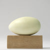 Mute Swan - Museum Egg (with stand)