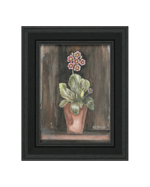 Auricula No.1 - Original Framed Painting