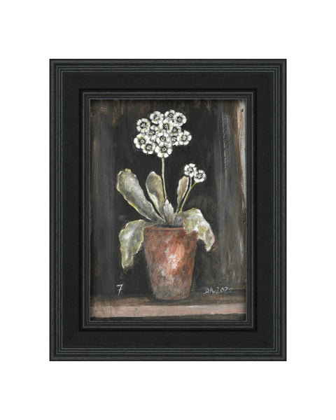 Auricula No.7 - Original Framed Painting