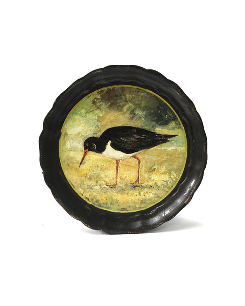 Oyster Catcher | Hand Painted Tray