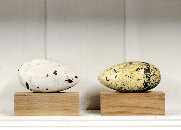 Great Auk No.38 - Museum Egg (with stand) – THE SHOP FLOOR