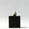 Pied Wagtail - Museum Egg (with stand)