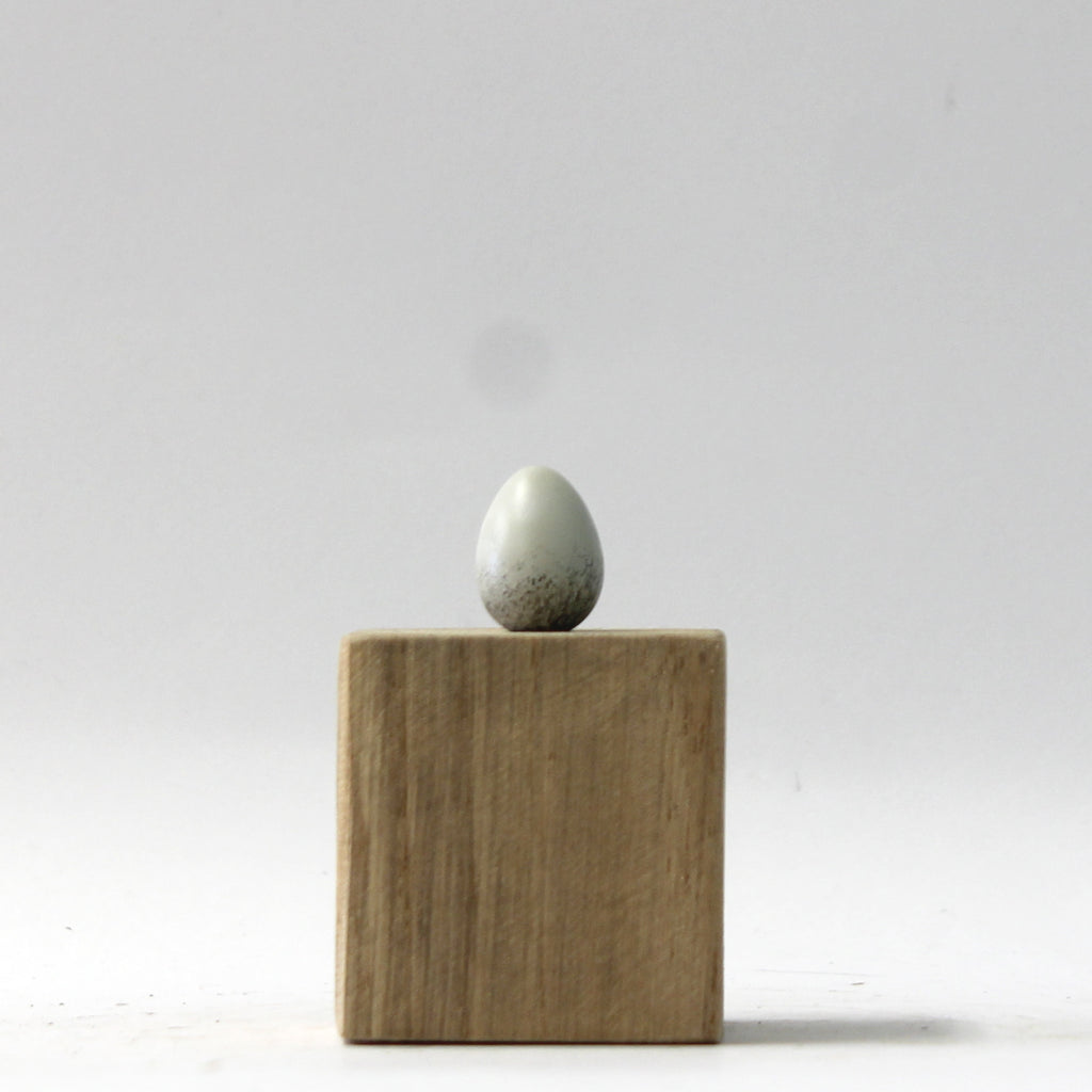 Pied Wagtail - Museum Egg (with stand)