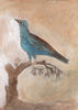 Painted Bird | Roller