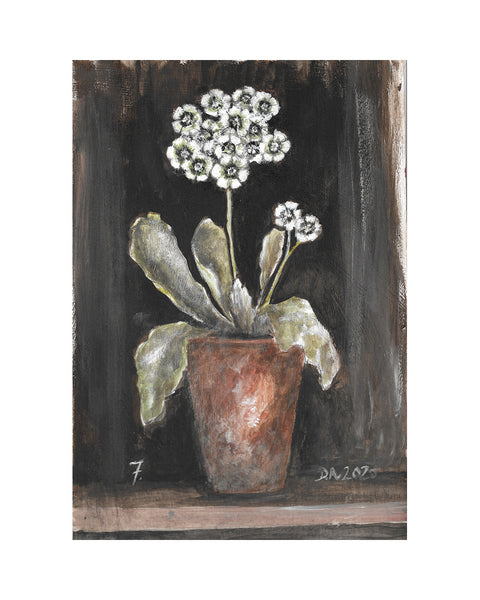 Auricula No.7 (Limited Edition Print)