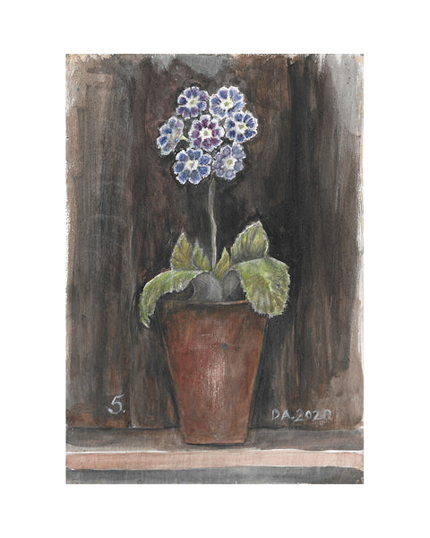 Auricula No.5 (Limited Edition Print)