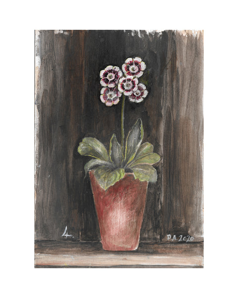 Auricula No.4 (Limited Edition Print)