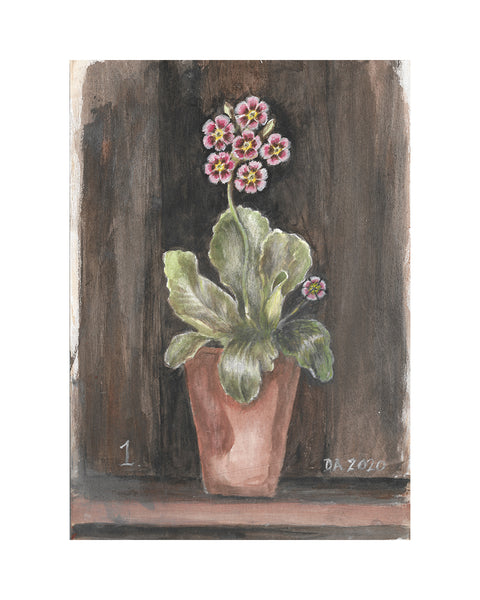 Auricula No.1 (Limited Edition Print)