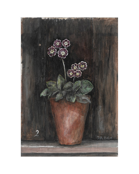 Auricula No.2 (Limited Edition Print)