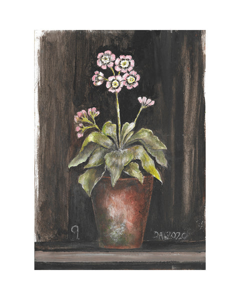 Auricula No.9 (Limited Edition Print)