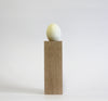 Tawny Owl - Museum Egg (with stand)