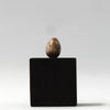 Tree Sparrow - Museum Egg (with stand)