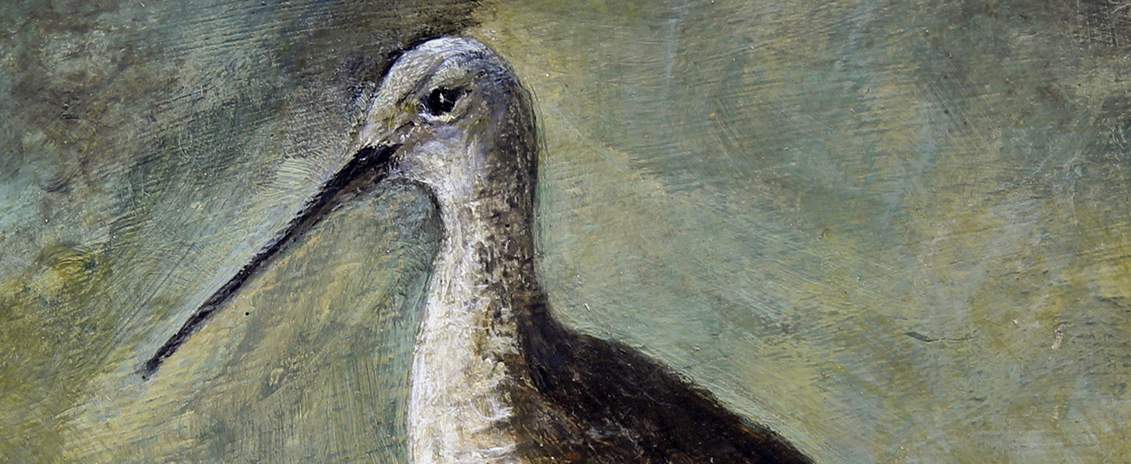 DENISE ALLAN | Birds of the Marshes