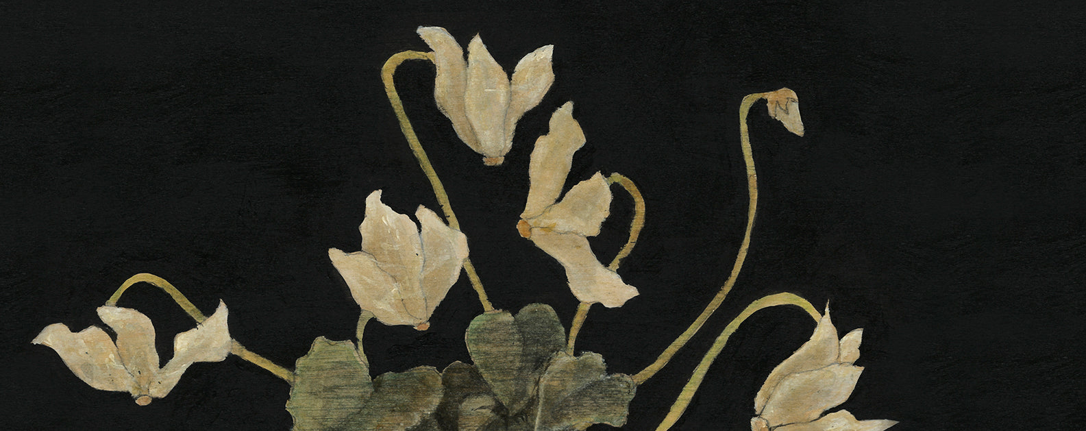 THE NIGHT FOREST | PRINTS