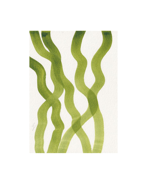 Seaweed Ribbons X (Original Framed Watercolour)