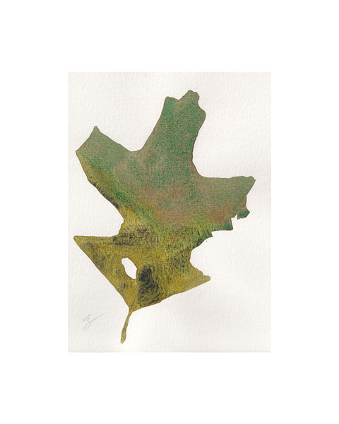 Scrub Oak Leaf II (Original Framed Watercolour)