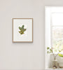 Scrub Oak Leaf II (Original Framed Watercolour)