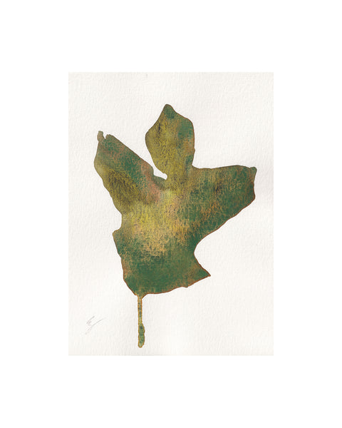 Scrub Oak Leaf III (Original Framed Watercolour)