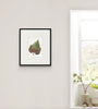 Grape Leaf I (Original Framed Watercolour)