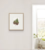 Grape Leaf I (Original Framed Watercolour)