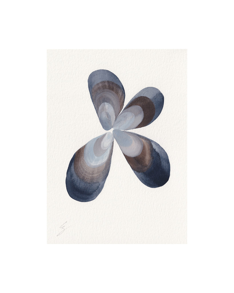 Mussel Shells Group II (Original Framed Watercolour)