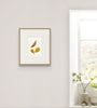 Island Pea Flower (Original Framed Watercolour)