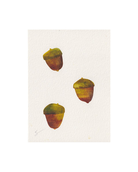 Island Acorns (Original Framed Watercolour)