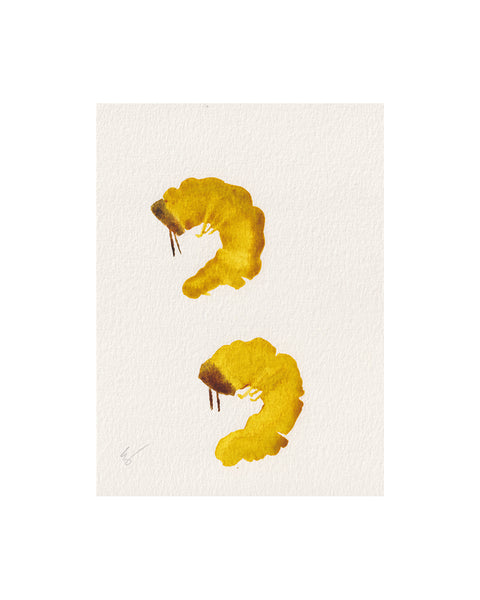 Island Caterpillars I (Original Framed Watercolour)