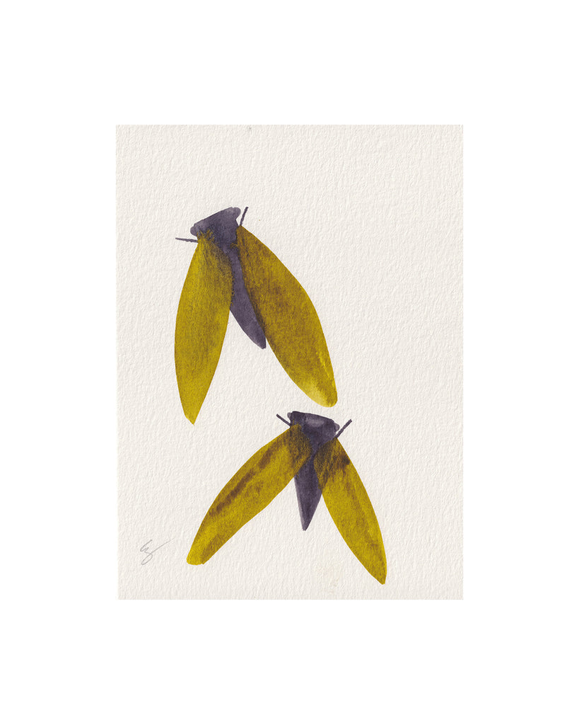 Island Cicadas III (Original Framed Watercolour)