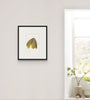 Island Moth I (Original Framed Watercolour)