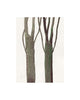 Elm Trees III (Original Framed Watercolour)